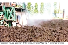 ‘সোনার দানা’ জৈব সারের ব্যবহার বাড়ছে  