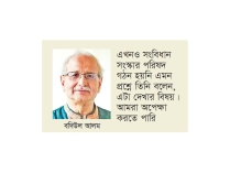 ‘কমিশনে বিএনপি গণভোটের রায় মানার কথা বলেছিল’  