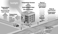 আরবান হিট আইল্যান্ড ইফেক্ট এবং আমাদের সমাধানের পথ   