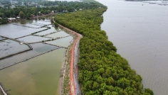 দুর্যোগ মোকাবিলায় উপকূলে ফ্রেন্ডশিপের বিশেষ উদ্যোগ ম্যানগ্রোভ নার্সারি