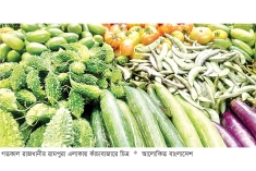 সবজির দাম কিছুটা কমেছে  