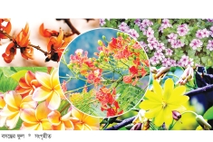 বসন্তের রঙিলা প্রহর  