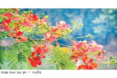 বাসন্তী বার্তা  