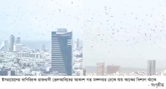 তেলআবিবের আকাশে হাজারো  কাক, আতঙ্কে ইসরায়েলিরা 