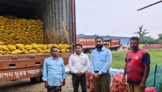 বীরগঞ্জের উৎপাদিত আলু যাচ্ছে বিশ্বের বিভিন্ন দেশে