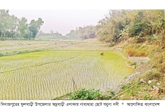 নাব্য হারিয়ে ছোট যমুনা এখন মরা খাল  