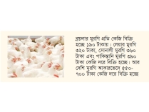 মুরগির বাজার চড়া, আগের দামেই বিক্রি হচ্ছে গরু-খাসি  