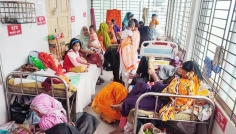 পাবনায় হামের প্রাদুর্ভাব বেড়েছে, হাসপাতালে ভর্তি ২৭