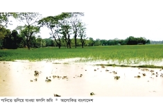 ময়মনসিংহে টানা বৃষ্টি ও পাহাড়ি ঢলে ৬ গ্রাম প্লাবিত  