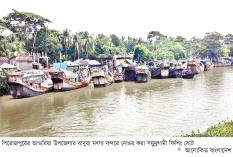 ভাণ্ডারিয়ার জেলেপল্লীতে বহুমুখী সমস্যা  