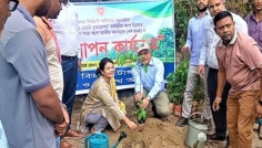 টাঙ্গাইলে পাঁচ বছরে ২৫ কোটি বৃক্ষরোপণ কর্মসূচির উদ্বোধন
