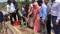 রাজবাড়ীতে বৃক্ষরোপণ কর্মসূচির উদ্বোধন