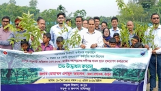রংপুরে পাঁচ বছরে ২৫ কোটি বৃক্ষরোপণ কার্যক্রমের উদ্বোধন
