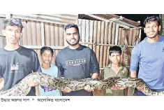 ১৪ ফুট লম্বা অজগর সাপ লাউয়াছড়া বনে অবমুক্ত  