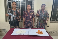 বেনাপোলে ভারতীয় বিস্ফোরক পাউডার  আটক