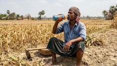 চুয়াডাঙ্গায় তাপমাত্রা ৩৮.৫ ডিগ্রি, বইছে মৃদু তাপপ্রবাহ