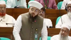 সংসদ প্রাঙ্গণে ‘জঙ্গি এমপি’ মন্তব্যের জেরে তদন্ত চান হানজালা