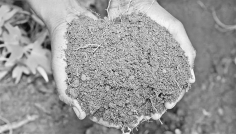 শিশু ছামিয়ার কান্না : আঁচল নেই, আছে শুধু কবরের মাটি  