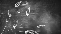 কার্পাসের হাওয়ায় লাল পলাতক ঘুড়ি  