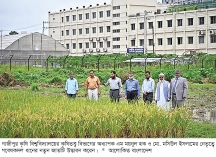 গাজীপুর কৃষি বিশ্ববিদ্যালয়ে নতুন জাতের ধান উদ্ভাবন  