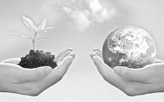 বনভূমি রক্ষায় প্রয়োজন সুনির্দিষ্ট পরিকল্পনা  