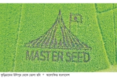 ধানখেতে স্মৃতিসৌধের নকশা ফুটিয়েছেন স্কুলশিক্ষক  