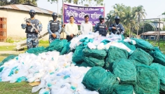 হাতিয়ায় ৪০ লাখ টাকার অবৈধ জাল ও পলিথিন জব্দ