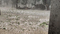 চাঁপাইনবাবগঞ্জে আকস্মিক শিলাবৃষ্টিতে ফসলের ক্ষতি