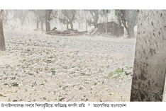 চাঁপাইনবাবগঞ্জে শিলাবৃষ্টিতে ফসলের ব্যাপক ক্ষতি  