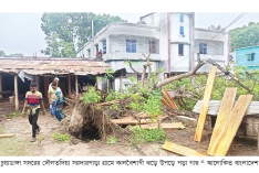 চুয়াডাঙ্গায় কালবৈশাখী ঝড়ে ব্যাপক ক্ষতি  