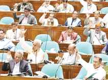 শেরেবাংলা নগরে ত্রয়োদশ জাতীয় সংসদের প্রথম অধিবেশনে যোগ দেন প্রধানমন্ত্রী  