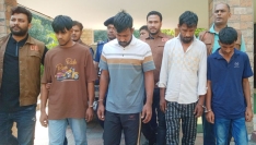 গজারিয়ায় ঘোড়ার মাংস গরুর নামে বিক্রি, গ্রেপ্তার ৪