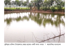 চান্দিনায় মাছ চাষে নীরব বিপ্লব  