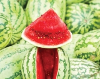 যেভাবে চিনবেন মিষ্টি তরমুজ  