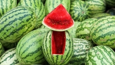 যেভাবে চিনবেন মিষ্টি তরমুজ