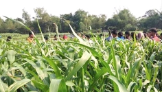 সিরাজগঞ্জের ঘাস ক্ষেত থেকে অজ্ঞাত কিশোরের মরদেহ উদ্ধার