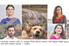 কুমিরের মুখে কুকুরের ঘটনা নিয়ে তারকাদের ক্ষোভ  