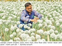 রাজবাড়ীতে পেঁয়াজ বীজে কৃষকের আগ্রহ বাড়ছে  