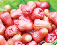 জামরুল খাবেন যে কারণে  