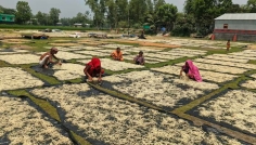 সিরাজগঞ্জে সুস্বাদু ঝুরি তৈরি করে চলছে হতদরিদ্র মানুষের সংসার