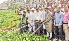কচুরিপানা পরিষ্কার ও ডেঙ্গু মশা নিধন কর্মসূচির উদ্বোধন করেন ঢাকা দক্ষিণ সিটি কর্পোরেশনের প্রশাসক  