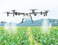 কৃষিতে কৃত্রিম বুদ্ধিমত্তার প্রয়োগ : এক নতুন দিগন্তের সন্ধানে  