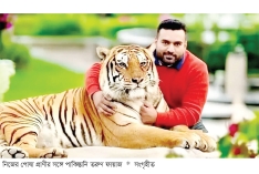 বিগ ক্যাটসের চল  