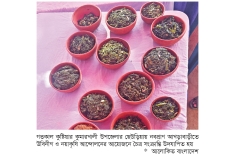 কুষ্টিয়ায় চৈত্র সংক্রান্তি উদযাপন  