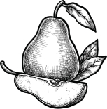 নাশপাতি  