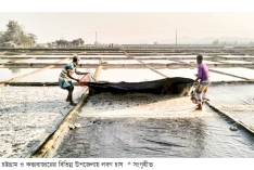 বিপাকে লবণচাষিরা  