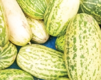 বাঙ্গি খাওয়ার উপকারিতা  