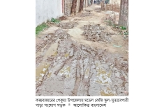 পেকুয়ায় সড়কের বেহাল দশা  