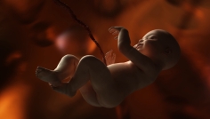 যে চার বিষয় লেখা হয় মাতৃগর্ভে