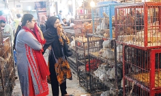 মূল্য বৃদ্ধির ছাপ পড়েছে কাঁচাবাজারে  